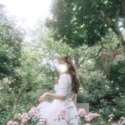 ヒメ日記 2026/01/10 11:57 投稿 めるる ハッピーブリッジ