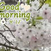 ヒメ日記 2026/04/02 08:45 投稿 村岡奈那美 川崎南町 素敵な奥様（川崎ハレ系）