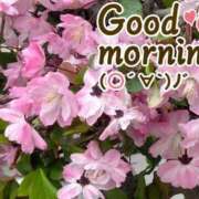 ヒメ日記 2026/04/05 09:02 投稿 村岡奈那美 川崎南町 素敵な奥様（川崎ハレ系）