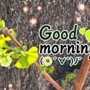 ヒメ日記 2026/04/07 08:31 投稿 村岡奈那美 川崎南町 素敵な奥様（川崎ハレ系）