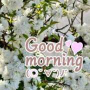 ヒメ日記 2026/04/09 08:31 投稿 村岡奈那美 川崎南町 素敵な奥様（川崎ハレ系）