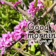 村岡奈那美 ☀️ 川崎南町 素敵な奥様（川崎ハレ系）