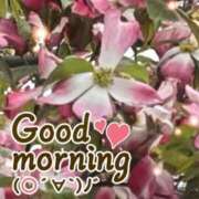 ヒメ日記 2026/04/14 08:45 投稿 村岡奈那美 川崎南町 素敵な奥様（川崎ハレ系）