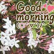 ヒメ日記 2026/04/16 08:45 投稿 村岡奈那美 川崎南町 素敵な奥様（川崎ハレ系）