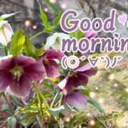 ヒメ日記 2026/04/19 08:31 投稿 村岡奈那美 川崎南町 素敵な奥様（川崎ハレ系）