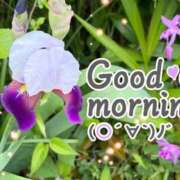 ヒメ日記 2026/04/28 08:31 投稿 村岡奈那美 川崎南町 素敵な奥様（川崎ハレ系）