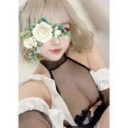 ヒメ日記 2025/11/20 01:24 投稿 伏木　くらら クラブゴージャス 梅田店