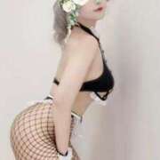 ヒメ日記 2026/04/14 13:04 投稿 伏木　くらら クラブゴージャス 梅田店