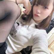 ヒメ日記 2026/01/20 11:58 投稿 妃菜(ひな) キュート東京 新宿店