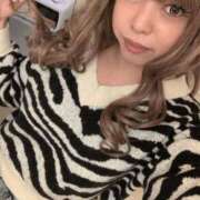 ヒメ日記 2025/11/15 21:08 投稿 心愛(ここあ) キュート東京 新宿店