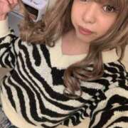 ヒメ日記 2025/12/12 13:16 投稿 心愛(ここあ) キュート東京 新宿店