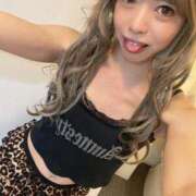 ヒメ日記 2026/08/01 08:11 投稿 心愛(ここあ) キュート東京 新宿店