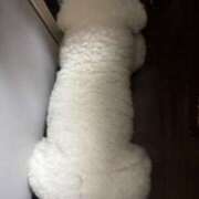 ヒメ日記 2025/10/23 12:46 投稿 優里(ゆうり) キュート東京 新宿店