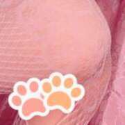 麻友(まゆ) 即ご案内可能だよ❣️ キュート東京 新宿店