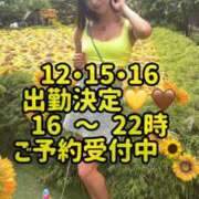 ヒメ日記 2025/08/11 18:46 投稿 橘芹那 キュート東京 新宿店