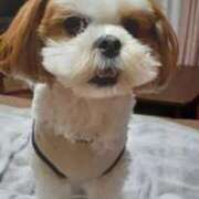 ヒメ日記 2024/12/08 14:12 投稿 常坂文乃 五十路マダム富山店(カサブランカグループ)