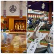 ヒメ日記 2025/01/11 19:40 投稿 常坂文乃 五十路マダム富山店(カサブランカグループ)