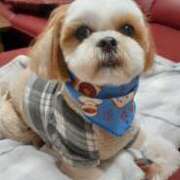 ヒメ日記 2025/04/21 19:26 投稿 常坂文乃 五十路マダム富山店(カサブランカグループ)