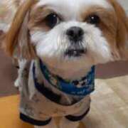 ヒメ日記 2025/06/22 14:58 投稿 常坂文乃 五十路マダム富山店(カサブランカグループ)