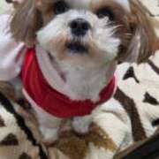 ヒメ日記 2025/12/29 22:52 投稿 常坂文乃 五十路マダム富山店(カサブランカグループ)