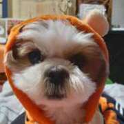 常坂文乃 ただ今ドッグラン? 五十路マダム富山店(カサブランカグループ)