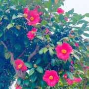 ヒメ日記 2025/03/07 06:55 投稿 ゆき♡超人気嬢復活!! ラヴァーズ