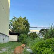 ヒメ日記 2025/07/06 21:30 投稿 ゆき♡超人気嬢復活!! ラヴァーズ