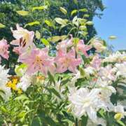 ヒメ日記 2025/07/11 19:46 投稿 ゆき♡超人気嬢復活!! ラヴァーズ