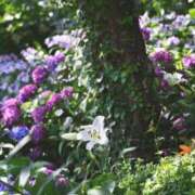 ヒメ日記 2025/09/07 23:45 投稿 ゆき♡超人気嬢復活!! ラヴァーズ