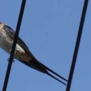 ヒメ日記 2025/09/30 19:00 投稿 ゆき♡超人気嬢復活!! ラヴァーズ