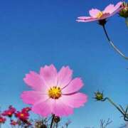 ヒメ日記 2025/10/09 19:30 投稿 ゆき♡超人気嬢復活!! ラヴァーズ