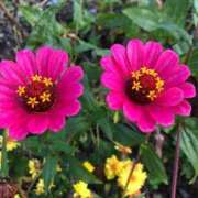 ヒメ日記 2025/10/21 20:00 投稿 ゆき♡超人気嬢復活!! ラヴァーズ