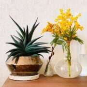 ヒメ日記 2026/01/12 18:15 投稿 ゆき♡超人気嬢復活!! ラヴァーズ