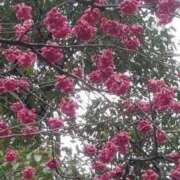 ヒメ日記 2026/01/17 17:00 投稿 ゆき♡超人気嬢復活!! ラヴァーズ