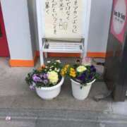 ヒメ日記 2026/01/30 16:00 投稿 ゆき♡超人気嬢復活!! ラヴァーズ