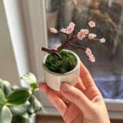 ヒメ日記 2026/03/04 18:00 投稿 ゆき♡超人気嬢復活!! ラヴァーズ