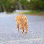 ヒメ日記 2026/03/11 18:30 投稿 ゆき♡超人気嬢復活!! ラヴァーズ