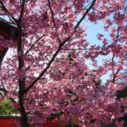 ヒメ日記 2026/03/17 21:31 投稿 ゆき♡超人気嬢復活!! ラヴァーズ