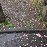 ヒメ日記 2026/04/04 19:15 投稿 ゆき♡超人気嬢復活!! ラヴァーズ