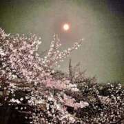 ヒメ日記 2026/04/06 18:30 投稿 ゆき♡超人気嬢復活!! ラヴァーズ