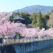 ヒメ日記 2026/04/08 18:31 投稿 ゆき♡超人気嬢復活!! ラヴァーズ