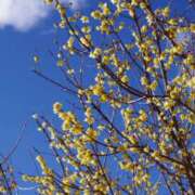 ヒメ日記 2026/04/11 14:00 投稿 ゆき♡超人気嬢復活!! ラヴァーズ