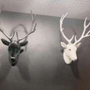 ヒメ日記 2025/03/01 19:37 投稿 蓮川美國 お姉さんCLUB