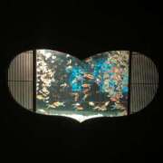 蓮川美國 ❤︎ お姉さんCLUB