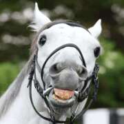 ヒメ日記 2024/12/16 23:04 投稿 より 熟女の風俗最終章 仙台店