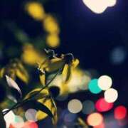 ヒメ日記 2025/08/02 23:54 投稿 より 熟女の風俗最終章 仙台店