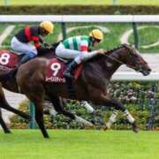 ヒメ日記 2025/10/05 16:14 投稿 より 熟女の風俗最終章 仙台店