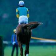 ヒメ日記 2025/11/02 10:32 投稿 より 熟女の風俗最終章 仙台店