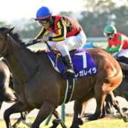 ヒメ日記 2025/11/16 16:24 投稿 より 熟女の風俗最終章 仙台店