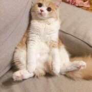 ヒメ日記 2026/03/27 18:54 投稿 より 熟女の風俗最終章 仙台店